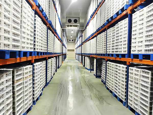 冷库货架的分类